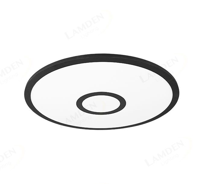 Φ450 RGB Center Decoration Ceiling Light