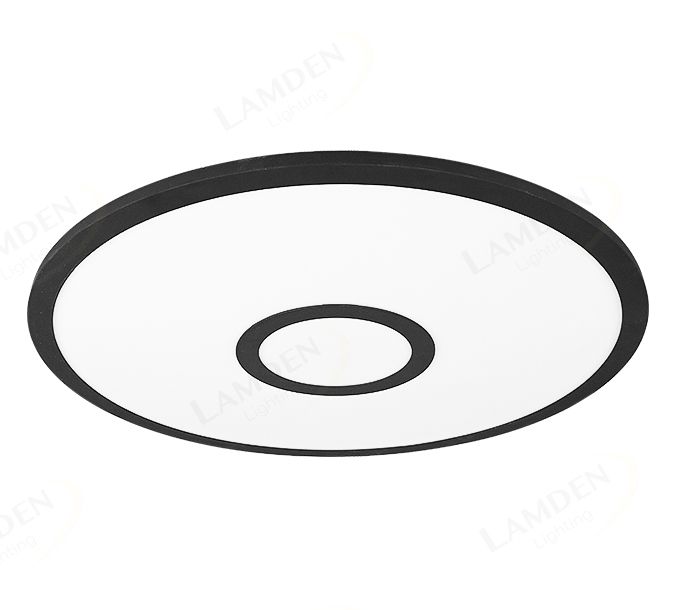 Φ600 RGB Center Decoration Ceiling Light