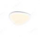 308x382 Single Head Big Stone Decoration Ceiling Lights